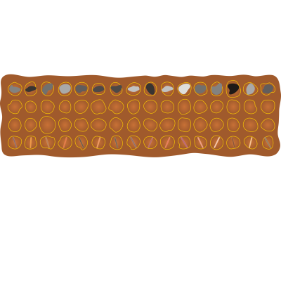 tâb